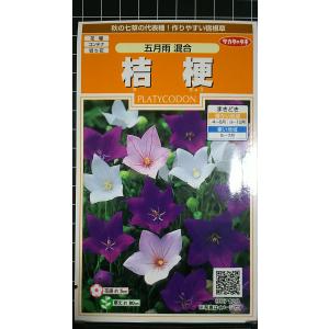 ３袋以上でクーポン割引 桔梗 五月雨 キキョウ 種 郵便は送料無料