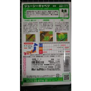 3袋以上でクーポン割引 ジューシー キャベツ ...の詳細画像1
