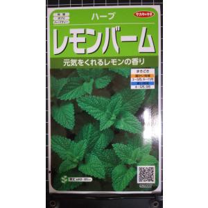 3袋以上でクーポン割引 レモンバーム セイヨウヤ...の商品画像
