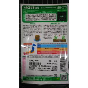 3袋以上でクーポン割引 トルコギキョウ ダブル...の詳細画像1