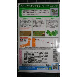 3袋以上でクーポン割引 ベビー サラダ ツケナ...の詳細画像1