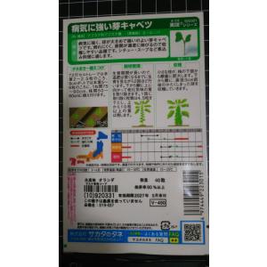 3袋以上でクーポン割引 芽キャベツ 病気に強い...の詳細画像1