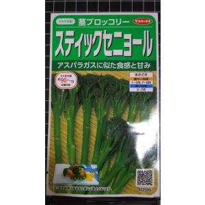 ３袋以上でクーポン割引 スティック セニョール 茎 ブロッコリー 種 郵便は送料無料