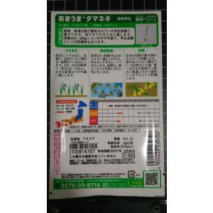 3袋以上でクーポン割引 貝塚 早生 タマネギ ...の詳細画像1