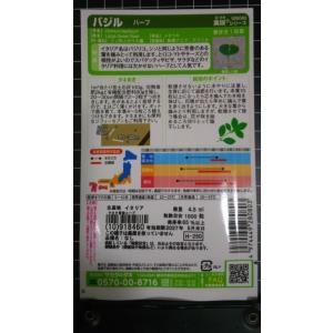 3袋以上でクーポン割引 バジル メボウキ バジ...の詳細画像1