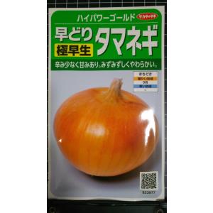 ３袋以上でクーポン割引 極早生 タマネギ ハイパワーゴールド 玉ねぎ 種 郵便は送料無料
