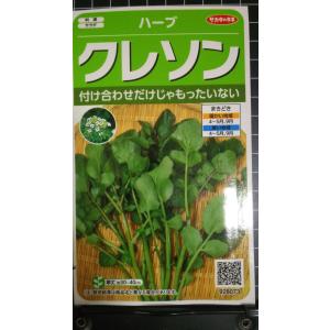 ３袋以上でクーポン割引 クレソン オランダ カラシ ハーブ 種 郵便は送料無料
