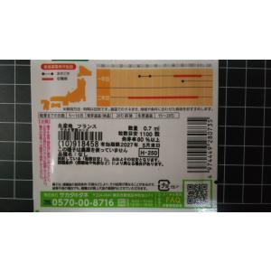 3袋以上でクーポン割引 クレソン オランダ カ...の詳細画像2