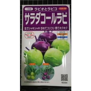 3袋以上でクーポン割引 サラダ コールラビ ラビ...の商品画像