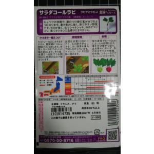 3袋以上でクーポン割引 サラダ コールラビ ラ...の詳細画像1