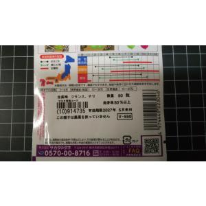 3袋以上でクーポン割引 サラダ コールラビ ラ...の詳細画像2