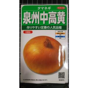３袋以上でクーポン割引 泉州 中高 黄 タマネギ 玉ねぎ 種 郵便は送料無料