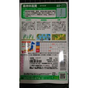 3袋以上でクーポン割引 泉州 中高 黄 タマネ...の詳細画像1