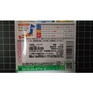 3袋以上でクーポン割引 泉州 中高 黄 タマネ...の詳細画像2