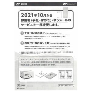 ゆっくり配送 すかしゆり アマンデール 1袋 ...の詳細画像4