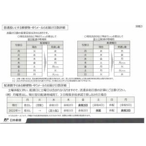 ゆっくり配送 すかしゆり アマンデール 1袋 ...の詳細画像5