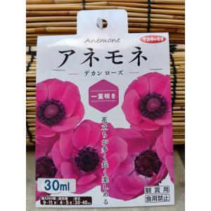 ゆっくり配送 アネモネ デカン ローズ 一重咲き １袋 球根 サカタのタ ネ 郵便は送料無料