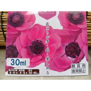 ゆっくり配送 アネモネ デカン ローズ 一重咲...の詳細画像1