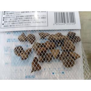 ゆっくり配送 アネモネ デカン ローズ 一重咲...の詳細画像3
