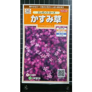 ３袋以上で割引 かすみ草 エレガンス ローズ カスミソウ