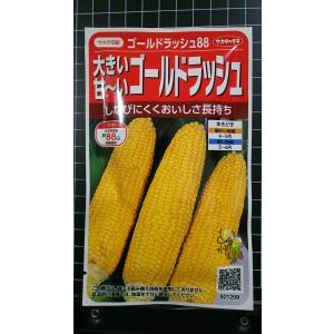 ３袋以上で割引 ゴールドラッシュ88 大きい 甘い コーン