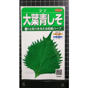 ３袋以上で割引 大葉 青しそ オオバ アオシソ 和風 ハーブ
