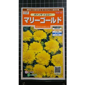 ３袋以上でクーポン割引 マリーゴールド ボナンザ イエロー 種 郵便は送料無料