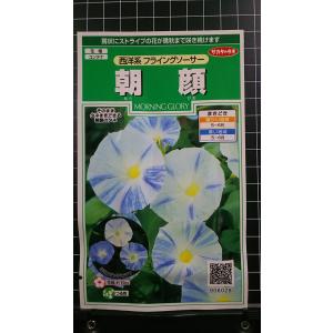 3袋以上でクーポン割引 朝顔 西洋系 フライングソーサー あさがお 種 郵便は