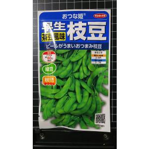 ３袋以上で割引 早生 枝豆 茶豆風味 おつな姫 エダマメ