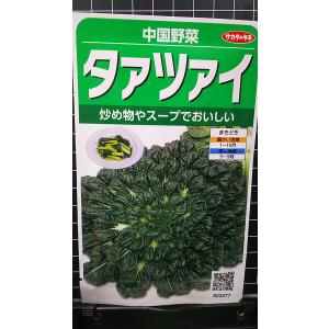 ３袋以上でクーポン割引 タァツァイ タアサイ 中国野菜 種 郵便は送料無料