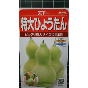 ３袋以上で割引 特大 ひょうたん 天下一 種 郵便は