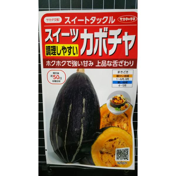 ３袋以上でクーポン割引 スイーツ カボチャ スイートタックル ホクホク 南瓜 種 郵便は送料無料