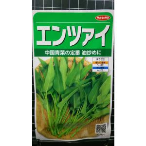 ３袋以上で割引 エンツァイ 中国野菜 エンサイ 種 郵便は