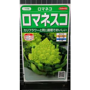 ３袋以上で割引 ロマネスコ ロマネコ 種 郵便は