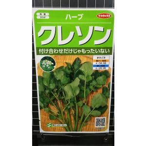３袋以上でクーポン割引 クレソン オランダ カラシ ハーブ 種 郵便は送料無料