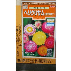 帝王 種 種子 の商品一覧 花 ガーデニング 通販 Yahoo ショッピング