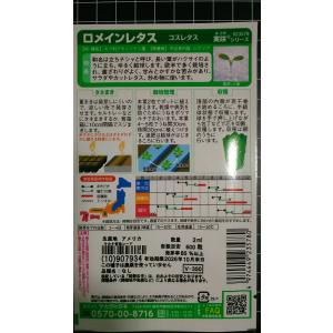 3袋以上でクーポン割引 ロメイン レタス コス...の詳細画像1