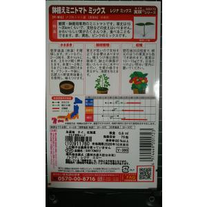 3袋以上でクーポン割引 鉢植え ミニ トマト ...の詳細画像1