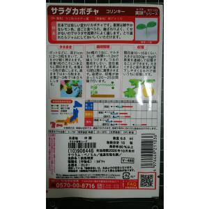 3袋以上でクーポン割引 サラダ カボチャ コリ...の詳細画像1
