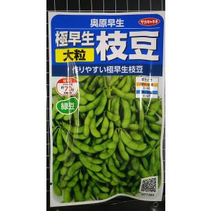 ３袋以上でクーポン割引 奥原 早生 極早生 大粒 枝豆 エダマメ 種 郵便は送料無料