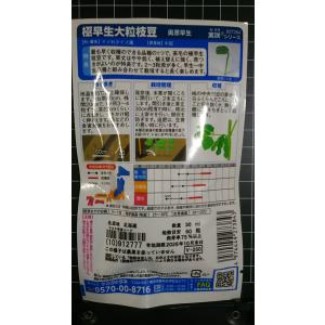 3袋以上でクーポン割引 奥原 早生 極早生 大...の詳細画像1
