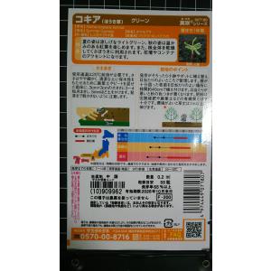 3袋以上でクーポン割引 コキア ほうき草 ホウ...の詳細画像1