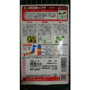 3袋以上でクーポン割引 ミニ カボチャ 栗っプ...の詳細画像1
