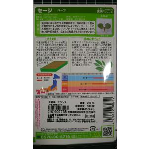 3袋以上でクーポン割引 セージ サルビア ハー...の詳細画像1