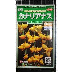 ３袋以上でクーポン割引 カナリア ナス ツノ フォックスフェイス 茄子 種 郵便は送料無料
