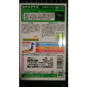 3袋以上でクーポン割引 カナリア ナス ツノ ...の詳細画像1