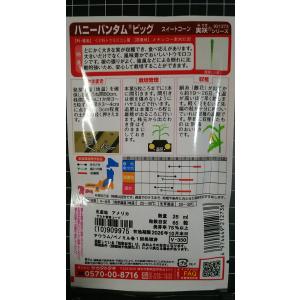 3袋以上でクーポン割引 ハニー バンタム ビッ...の詳細画像1