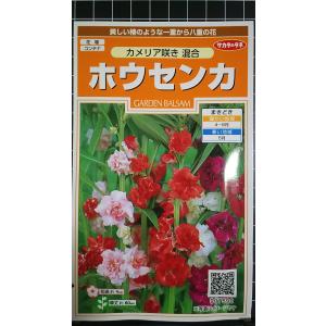 ３袋以上でクーポン割引 ホウセンカ カメリア咲き 種 郵便は送料無料 ほうせんか