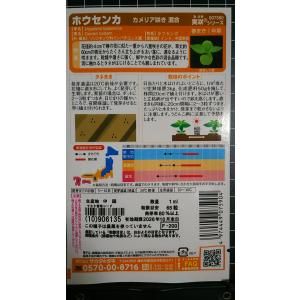 3袋以上でクーポン割引 ホウセンカ カメリア咲...の詳細画像1