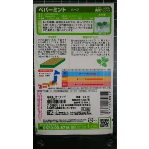 3袋以上でクーポン割引 ペパーミント ハーブ ...の詳細画像1